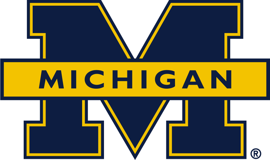 Michigan Wolverines 2016-Pres Secondary Logo v2 iron on transfers for T-shirts